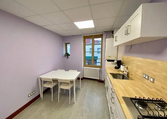 Appartement De 50M2 Au Centre De Cusset