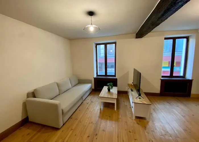 Appartement De 50M2 Au Centre De Cusset