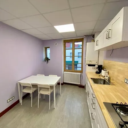 Appartement De 50M2 Au Centre De Cusset Exterior foto