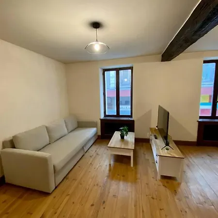Appartement De 50M2 Au Centre De Cusset Exterior foto