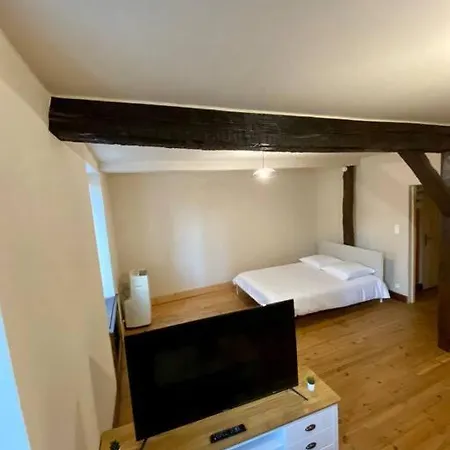 Appartement De 50M2 Au Centre De Cusset Exterior foto