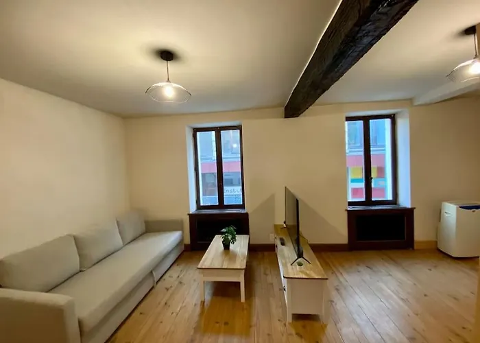 Appartement De 50M2 Au Centre De Cusset