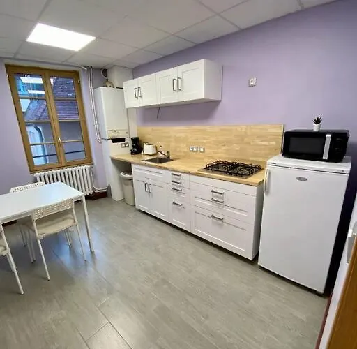 Appartement De 50M2 Au Centre De Cusset