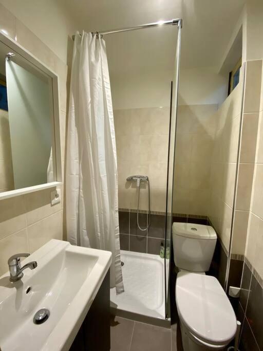 Appartement De 50m2 Au Centre De Cusset